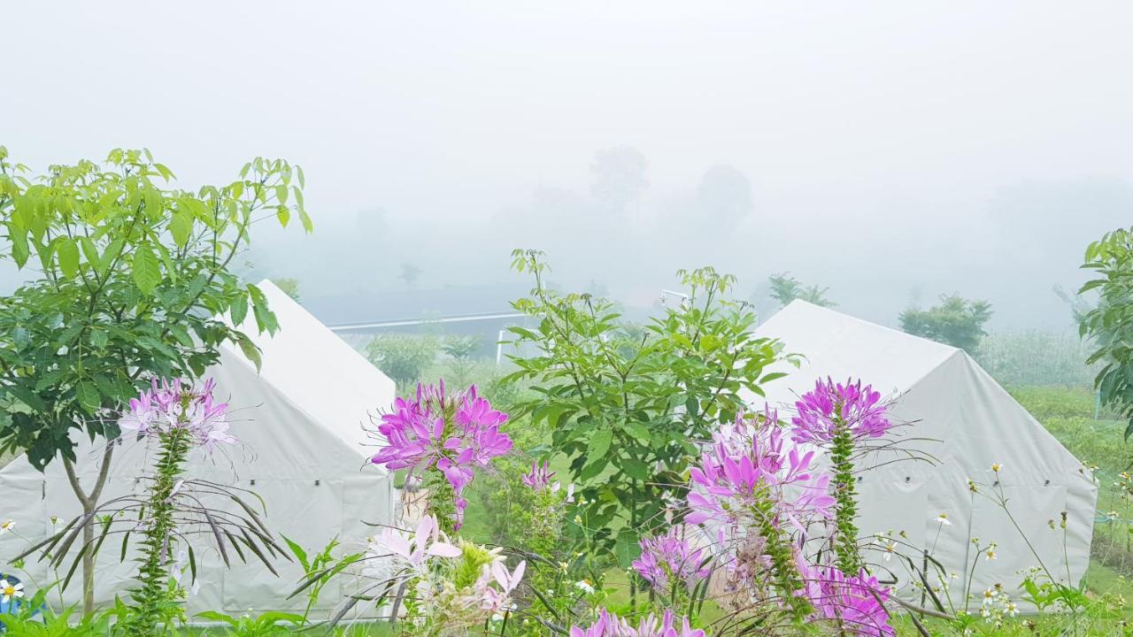 Lys I Dalen Resort&Camping 考科 外观 照片